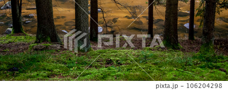 River Kamp And Mossy River Bank In Lower Austria (Waldviertel) In Austria River Kamp And Mossy River Bank In Lower Austria (Waldviertel) In Austria 106204298