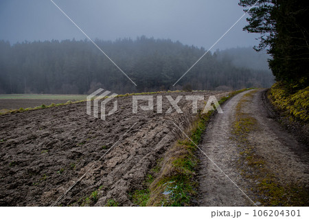 Abandoned Gravel Road Through Foggy Landscape With Forest And Agricultural Areas In Lower Austria (Waldviertel) In Austria Abandoned Gravel Road Through Foggy Landscape With Forest And Agricultural Areas In Lower Austria (Waldviertel) In Austria 106204301