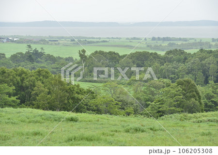 【北海道浜当別町】クローバーの丘展望所から望むクッチャロ湖 【北海道浜当別町】クローバーの丘展望所から望むクッチャロ湖 106205308