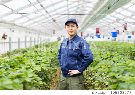 いちご農家の男性 106205377