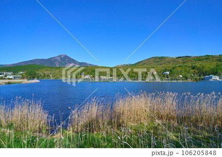 春の長野県の白樺湖西側湖畔からの風景 春の長野県の白樺湖西側湖畔からの風景 106205848