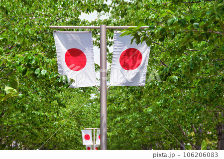 国旗が掲揚された段葛(神奈川県鎌倉市) 国旗が掲揚された段葛(神奈川県鎌倉市) 106206083