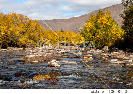 Mountain river with stones and autumn bushes along the banks. Yellow leaves on the trees. Mountains in the background. Clouds in the sky. Horizontal. Mountain river with stones and autumn bushes along the banks. Yellow leaves on the trees. Mountains in the background. Clouds in the sky. Horizontal. 106206180