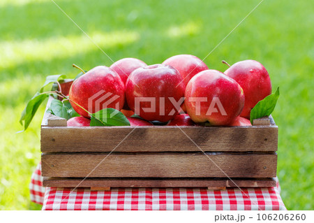 Basket with fresh red apples Basket with fresh red apples 106206260