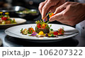 おしゃれな肉料理の盛り付け 106207322