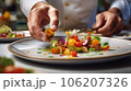 おしゃれな料理の盛り付け 106207326