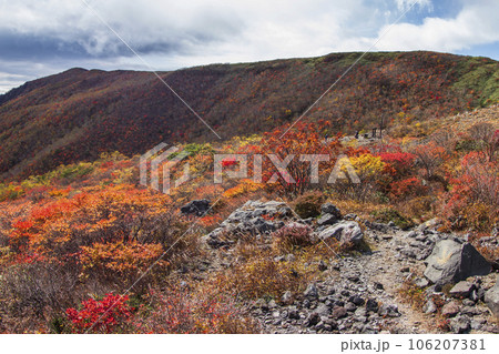 紅葉した那須岳(茶臼岳)稜線【栃木県・那須塩原市】 紅葉した那須岳(茶臼岳)稜線【栃木県・那須塩原市】 106207381