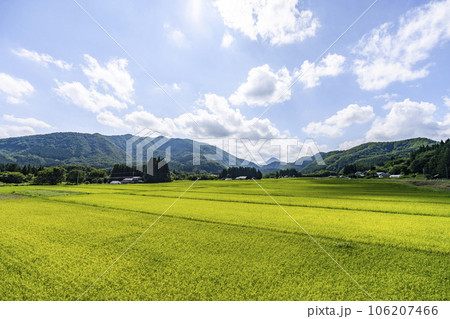 夏の素朴な田園風景　宮城県仙台市 106207466