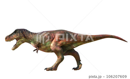 ティサのサウルス Tyrannosaurus 106207609