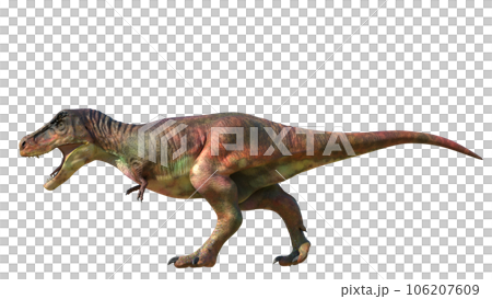 ティサのサウルス Tyrannosaurus 106207609