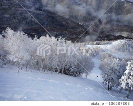 厳冬の竜王スキーパーク　スカイランドエリアから木落しコースを臨む 106207808