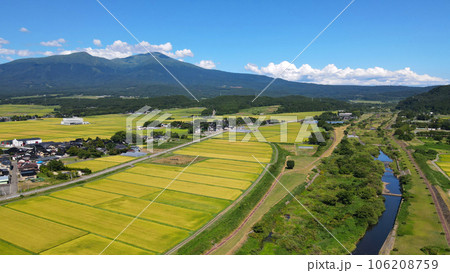 稲刈り間近の田と鳥海山 106208759
