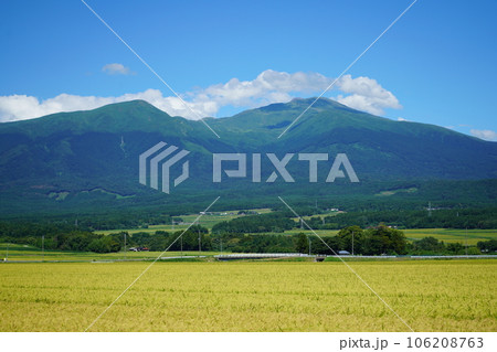 稲刈り間近の田と鳥海山 稲刈り間近の田と鳥海山 106208763