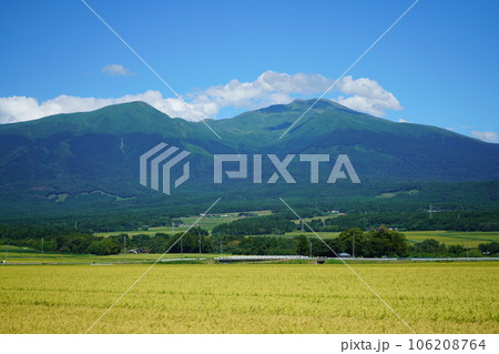 稲刈り間近の田と鳥海山 稲刈り間近の田と鳥海山 106208764