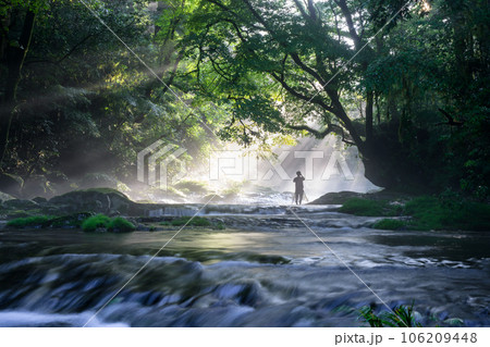 夏の絶景　幻想的な菊池渓谷の光芒 106209448