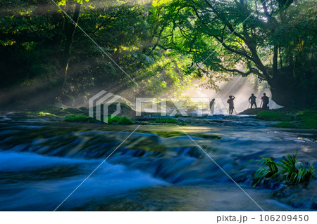 夏の絶景　幻想的な菊池渓谷の光芒 106209450