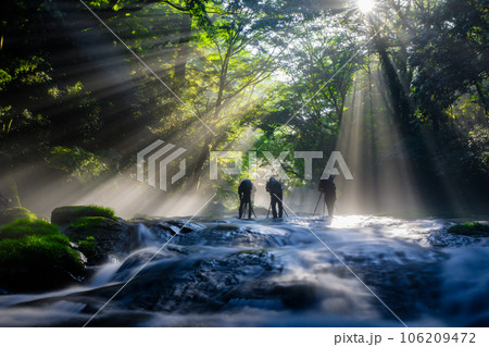 夏の絶景　幻想的な菊池渓谷の光芒 106209472