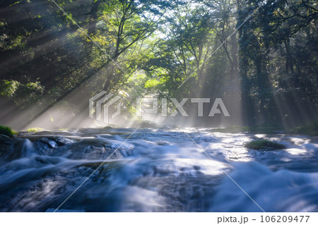 夏の絶景 幻想的な菊池渓谷の光芒 夏の絶景 幻想的な菊池渓谷の光芒 106209477