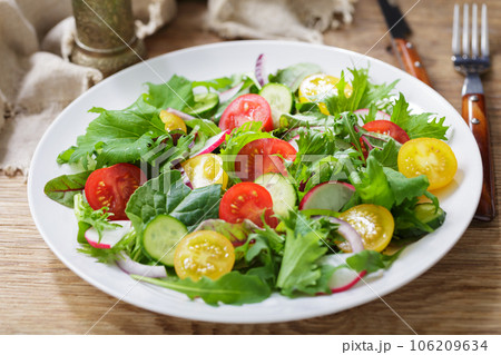 plate of salad with fresh vegetables 106209634