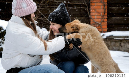 Cute puppy dog playing and licking two teenage girls in house backyard covered in snow 106210133