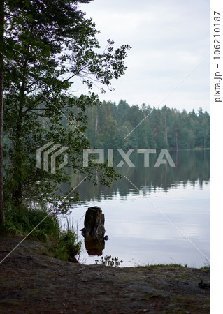 Lake surrounded by green trees Lake surrounded by green trees 106210187