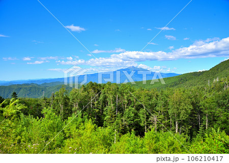 《岐阜県》高山市朝日町岐阜県道435号から見る緑豊かな夏の乗鞍岳 106210417