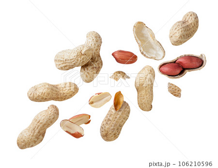 Nuts peanuts in shell and without are flying on a white. Isolated 106210596