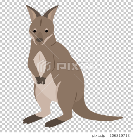ワラビーのイラスト ワラビーのイラスト 106210718