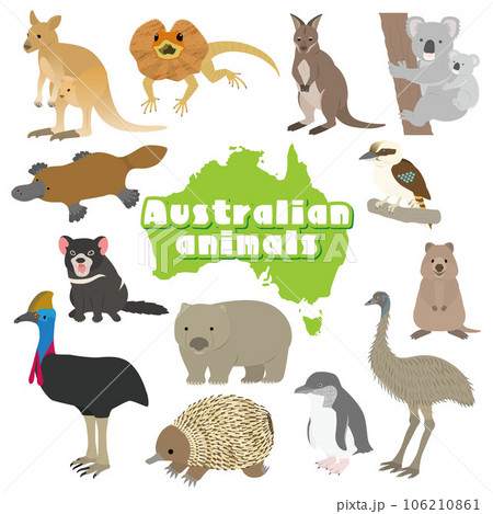 オーストラリアの動物のイラストセット 106210861