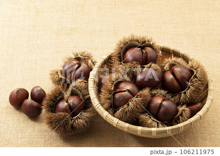 深ざるに入れたいが栗_背景麻布 深ざるに入れたいが栗_背景麻布 106211975