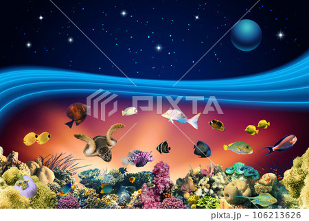 Nature seascape with underwater creatures and night starry sky over surface - coral reef and fishes 106213626