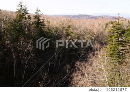 美瑛　秋の白髭の滝 106213877