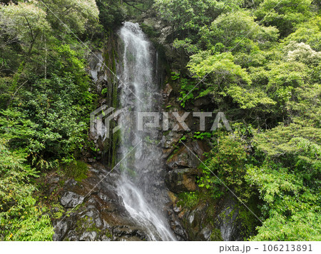 愛媛県松野町 天ヶ滝 愛媛県松野町 天ヶ滝 106213891