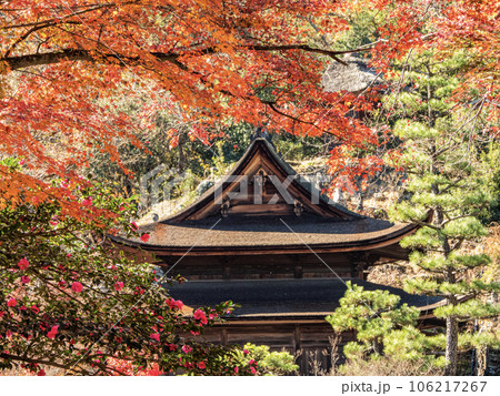 秋の虎渓山永保寺の境内の景色 106217267