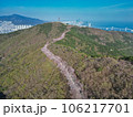 Cherry blossom road in Hwangryeongsan Mountain, Busan, South Korea, Asia 106217701
