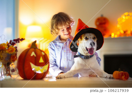 Family carving pumpkin for Halloween 106217939