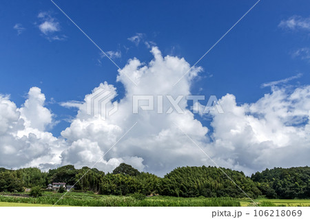 青空の天空に浮く雲の造形【入道雲】 青空の天空に浮く雲の造形【入道雲】 106218069