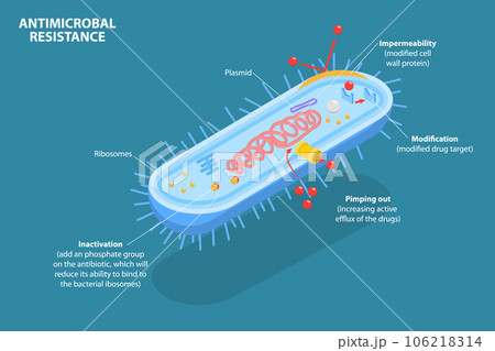 3D Isometric Flat Vector Conceptual Illustration of Antimicrobal Resistance 3D Isometric Flat Vector Conceptual Illustration of Antimicrobal Resistance 106218314