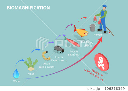 3D Isometric Flat Vector Conceptual Illustration of Biomagnification 3D Isometric Flat Vector Conceptual Illustration of Biomagnification 106218349