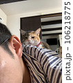自分から乗ってきたのに何だか不服そうな猫 106218775