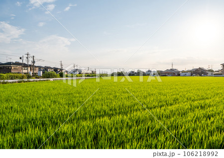 【関西本線】田園風景を疾走する特急南紀 【関西本線】田園風景を疾走する特急南紀 106218992
