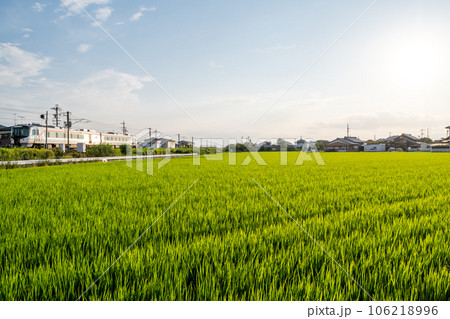 【関西本線】田園風景を疾走する特急南紀 【関西本線】田園風景を疾走する特急南紀 106218996
