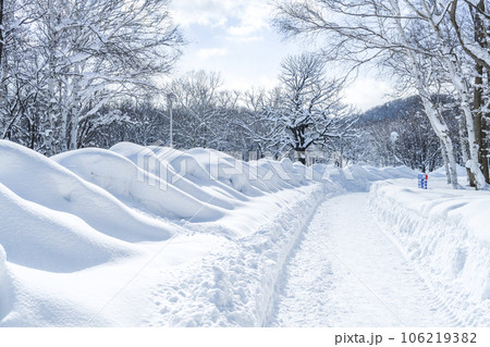 冬の遊歩道 真駒内公園 札幌市 冬の遊歩道 真駒内公園 札幌市 106219382
