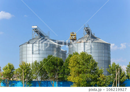Modern Granary elevator and seed cleaning line. Modern Granary elevator and seed cleaning line. 106219927