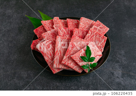 国産牛焼肉 皿盛り 国産牛焼肉 皿盛り 106220435