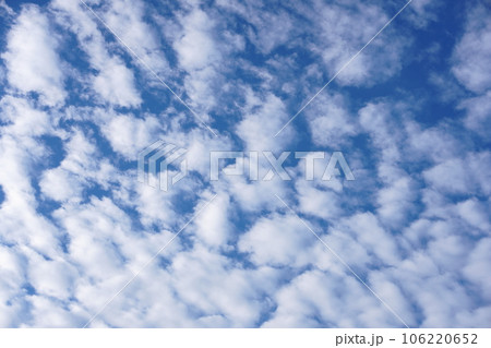 秋の朝のうろこ雲 秋の朝のうろこ雲 106220652
