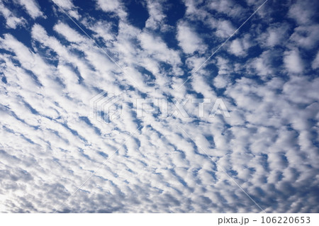 秋の朝の鯖雲 秋の朝の鯖雲 106220653