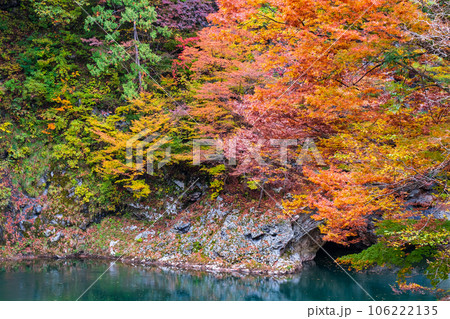 湯瀬渓谷（秋） 106222135