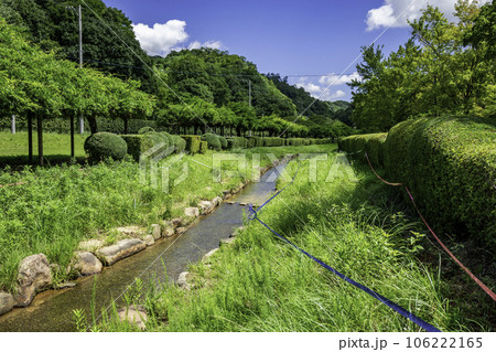 堂々川砂留群　堂々公園　広島県福山市 106222165