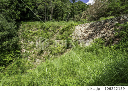 堂々川砂留群　鳶ヶ迫砂留　広島県福山市 106222189